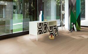 PARADOR Basic 11-5 Classic Dub pure 1595165 - 4.07 m2