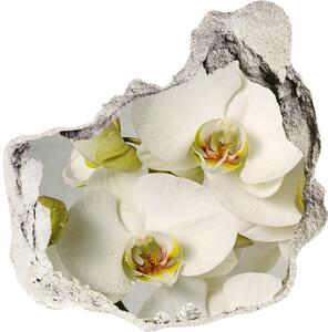 Diera 3D fototapety nálepka Biela orchidea nd-p-67521473