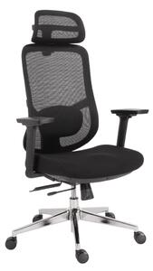 Kancelárska ergonomická stolička Neoseat ALLY — čierna, nosnosť 150 kg
