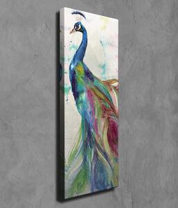 Wallity Obraz na plátne Peacock PC118 30x80 cm
