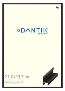 DANTIK rám na obraz 21x29,7 | ALU Černá matná (Sklo Čiré)