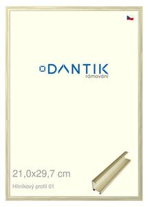 DANTIK rám na obraz 21x29,7 | ALU zlatá lesklá alternativa (Sklo Čiré)