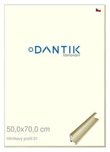 DANTIK rám na obraz 50x70 | ALU zlatá lesklá alternativa (Plexi Čiré)