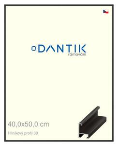 DANTIK rám na obraz 40x50 | ALU Černá matná (Plexi Čiré)