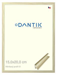 DANTIK rám na obraz 15x20 | ALU zlatá lesklá alternativa (Sklo Čiré)