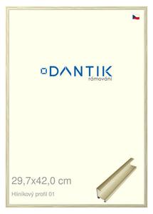 DANTIK rám na obraz 29,7x42 | ALU zlatá lesklá alternativa (Plexi Čiré)