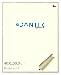 DANTIK rám na obraz 40x50 | ALU zlatá lesklá alternativa (Plexi Čiré)