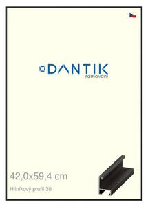 DANTIK rám na obraz 42x59,4 | ALU Černá matná (Plexi Čiré)