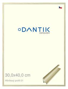 DANTIK rám na obraz 30x40 | ALU zlatá lesklá alternativa (Plexi Čiré)
