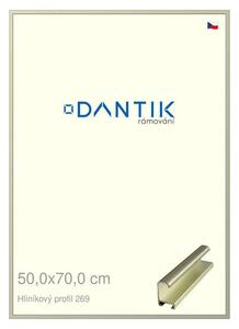 DANTIK rám na obraz 50x70 | ALU Šedá Pyrit broušená (Plexi Čiré)
