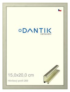 DANTIK rám na obraz 15x20 | ALU Šedá Pyrit broušená (Sklo Čiré)