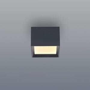 Stropné LED svetlo PURE Manhatten, mystic grey, 1-pl.,, Hliník / sivá / zinok, Chodba, Hliník, Moderný, Stropné svetlo