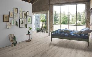 PARADOR Basic 600 Dub Valere perlovo sivý bielený 1744355 - 2.19 m2