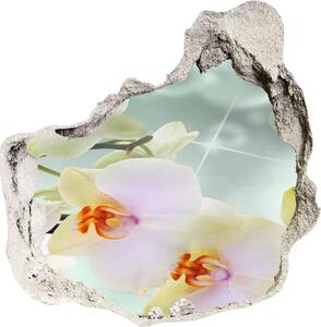 Nálepka fototapeta 3D výhľad Biela orchidea nd-p-91133337