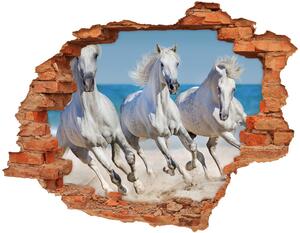 Diera 3D fototapeta na stenu White horse beach nd-c-95257914