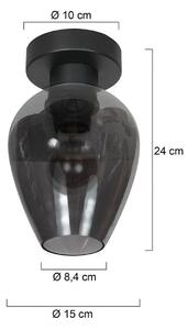 Stropné svietidlo Bloeba, čierna/dymovo sivá, Ø 15 cm, sklenená kvapka, Hliník / sivá / zinok, Obývacia izba / jedáleň, Sklo, Stropné svetlo polkruhové s priestorom