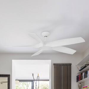 Stropný ventilátor Cocos L, LED svietidlo DC biela
