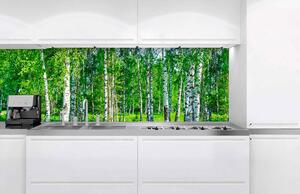 DIMEX | Fototapeta do kuchyne Brezový háj KI-180-044 | 180 x 60 cm | zelená, biela, čierna