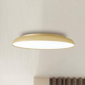 Stropné LED svetlo Art, Ø 45 cm, krémovo-zlatá, kov, Mosadz / zlato, Obývacia izba / jedáleň, kov, Moderný