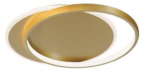 Stropné LED svetlo Evelyn, zlatá, dĺžka 55 cm, kov, Mosadz / zlato, Obývacia izba / jedáleň, Hliník, Moderný, Závesné svietidlo
