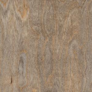 AMTICO FIRST Wood Bleached elm SF3W2516 - 2.50 m2