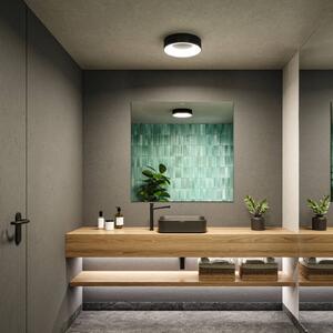 Paulmann HomeSpa Casca stropné svietidlo Ø30cm čierne, Čierna, Kúpeľňa, kov, Moderný, Závesné svietidlo