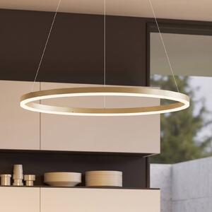 Arcchio LED závesné svietidlo Albiona, béžové, 1 krúžok, Ø 80 cm, Krémová / jantárovo žltá, Kuchyňa, kov, Moderný, Závesné svietidlo