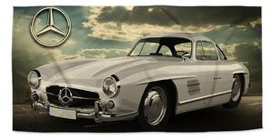 Sablio Uterák Mercedes-Benz 300 SL Na ceste - 30x50 cm