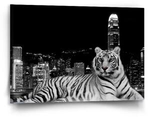 Sablio Obraz Mestský tiger - 90x60 cm
