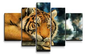 Sablio Obraz - 5-dílný Tiger - 125x90 cm