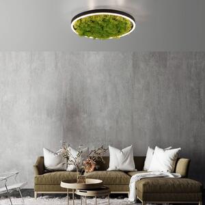 LED stropné svietidlo Green Ritus, mach stmievateľné Ø39,3cm