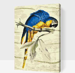 Gario Maľovanie podľa čísel Vintage papagáj Veľkosť: 40 x 60 cm, Rámovanie: Bez vnútorného rámu