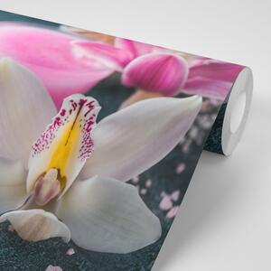 Samolepiaca fototapeta nádherná detailná orchidea