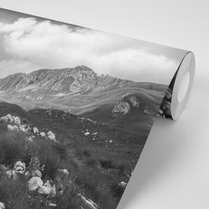 Fototapeta čiernobiele údolie v Čiernej Hore
