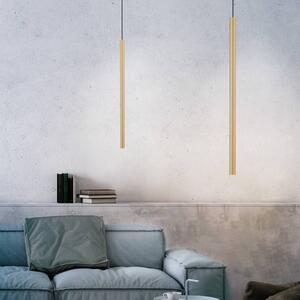 Paul Neuhaus Flétna LED závesné svietidlo 1 svetlo mosadz