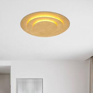 Stropné svietidlo Heda LED, Ø 49 cm, zlatá farba, kov, Mosadz / zlato, Obývacia izba / jedáleň, kov, Moderný, Závesné svietidlo
