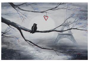 Ručne maľovaný obraz Vtáčia romantika v Paríži Rozmery: 70 x 100 cm