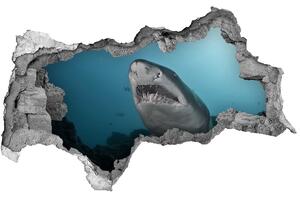 Diera 3D fototapeta nálepka Veľký žralok nd-b-120086004