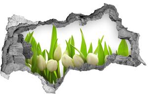 Samolepiaca nálepka na stenu Biele tulipány nd-b-40774643