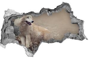 Diera 3D fototapeta na stenu Biely vlk na skale