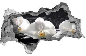 Samolepiaca diera na stenu nálepka Orchidea nd-b-62952104