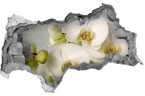 Samolepiaca diera nálepka Biela orchidea nd-b-67521473