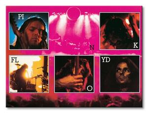 Art Group Obraz na plátne Pink Floyd (Live) Veľkosť: 40 x 30 cm