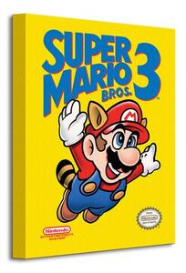 Art Group Obraz na plátne Nintendo Super Mario Bros 3 (NES Cover) Veľkosť: 30 x 40 cm