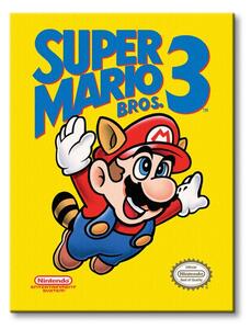 Art Group Obraz na plátne Nintendo Super Mario Bros 3 (NES Cover) Veľkosť: 30 x 40 cm