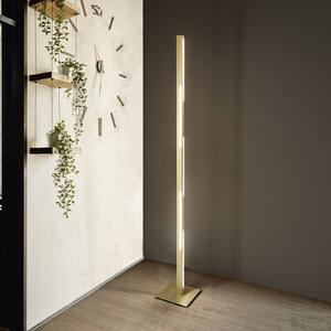 LED stojacia lampa Ling, mosadz, výška 165 cm, stmievateľná, kov