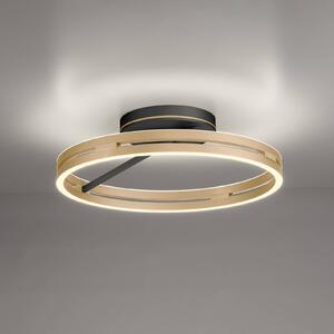 PURE stropné LED svetlo Loop mosadz/čierna kov Ø 60 cm, Mosadz / zlato, Obývacia izba / jedáleň, Hliník, Moderný, Stropné svetlo polkruhové s priestorom