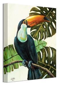 Art Group Obraz na plátne Tropický tukan Brown Louise Veľkosť: 30 x 40 cm