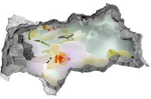 Samolepiaca diera nálepka Biela orchidea nd-b-91133337