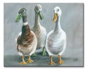 Art Group Obraz na plátne Traja kačací priatelia Brown Louise Veľkosť: 50 x 40 cm